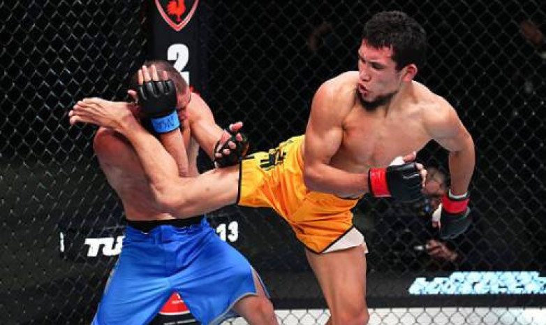 Сенсацией обернулся бой Алиби Идриса на UFC 319