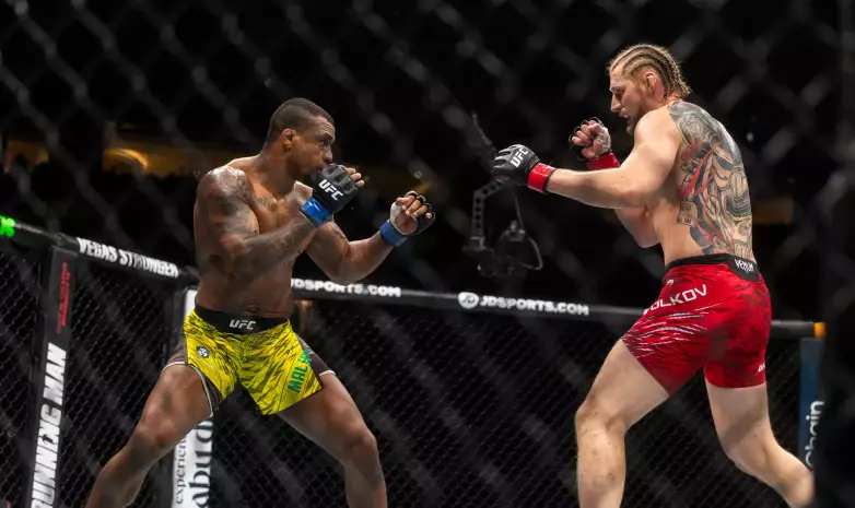 UFC 321: Волков — Алмейда. Видео полного боя