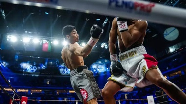 WBC объявил решение по "Казахскому королю нокаутов"