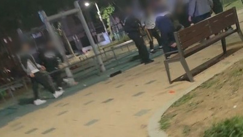 Массовая драка в Южной Корее: полиция проверяет возможное участие казахстанцев