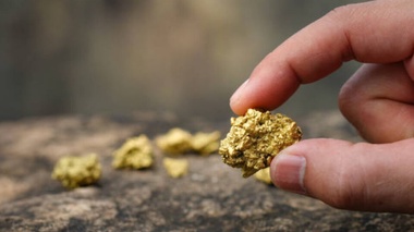 ШҚО-да алтынды заңсыз өндіргендерден 372 млн теңгенің мүлкі тәркіленді