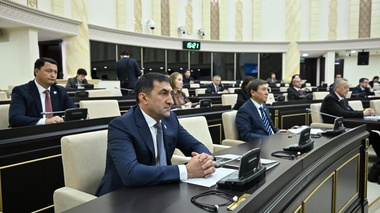 Халық кеңесі комитетінің салалық комиссияларының құрамы бекітілді