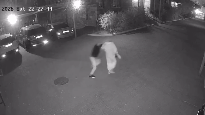 В Актобе девушка погибла от ножевых ранений: задержан подозреваемый (Видео)