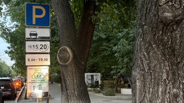 Алматыда автокөлікті жаңа экологиялық тексерістен қайда өткізуге болады және бұл қанша тұрады?