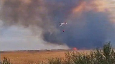 Крупный пожар в области Жетысу: к тушению привлекли вертолёт