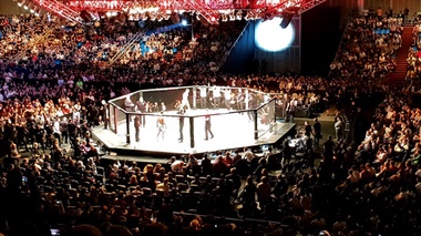Четыре боя - 371 секунда: боец UFC сокрушил 15-го номера рейтинга