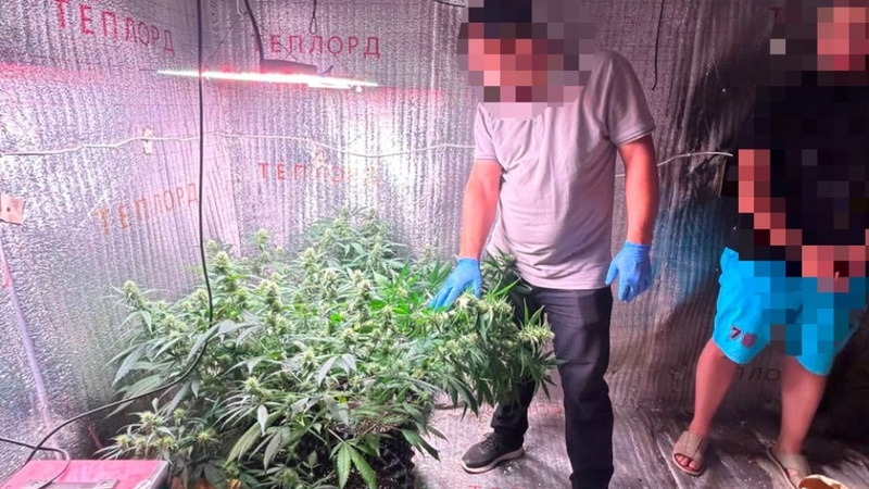 В ЗКО закрыли интернет-магазин по продаже наркотиков