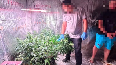 В ЗКО закрыли интернет-магазин по продаже наркотиков
