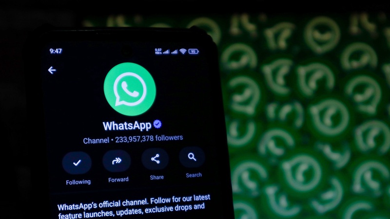 WhatsApp получил новую функцию для работы - что изменилось