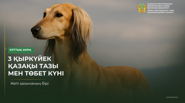 3 сентября –  день казахского тазы и тобета