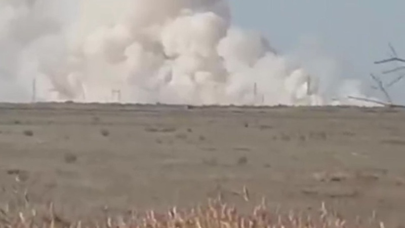 Крупный степной пожар близ Астаны попал на видео