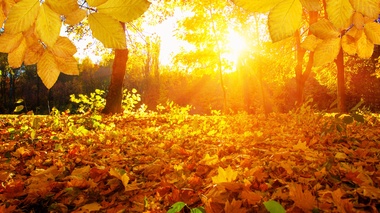 +34 градусқа дейін: синоптиктер Астана мен Алматыға арналған болжамды нақтылады
