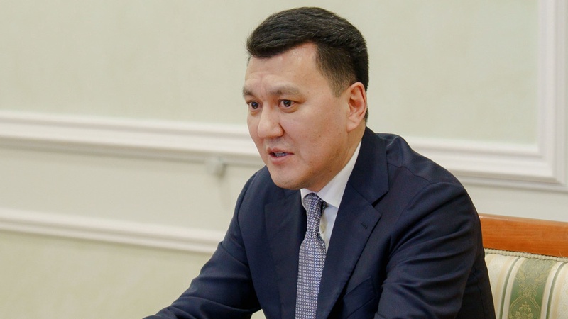 Қазақстаның вице-президенті Қарин ішкі саясаттың негізгі басымдықтарын атады