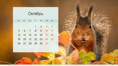 Сколько дней казахстанцы будут отдыхать в октябре
