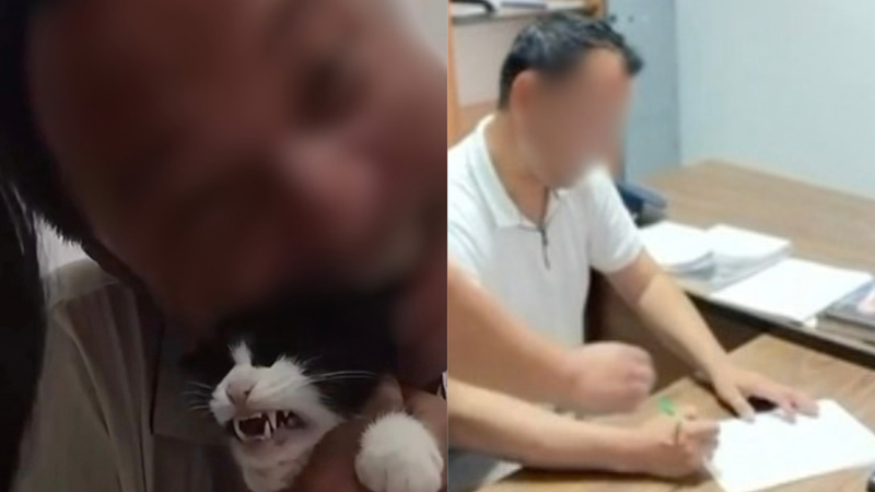 TikTok-тағы тікелей эфирде мысықты қинаған ер адам жазаланды