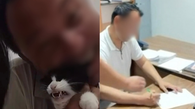 TikTok-тағы тікелей эфирде мысықты қинаған ер адам жазаланды