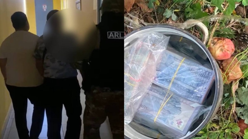 В Павлодаре нашли 24 миллиона тенге в кастрюле под деревом