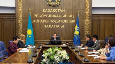 Аудиторлар Қорғаныс министрлігінің шығындарын тексере бастады