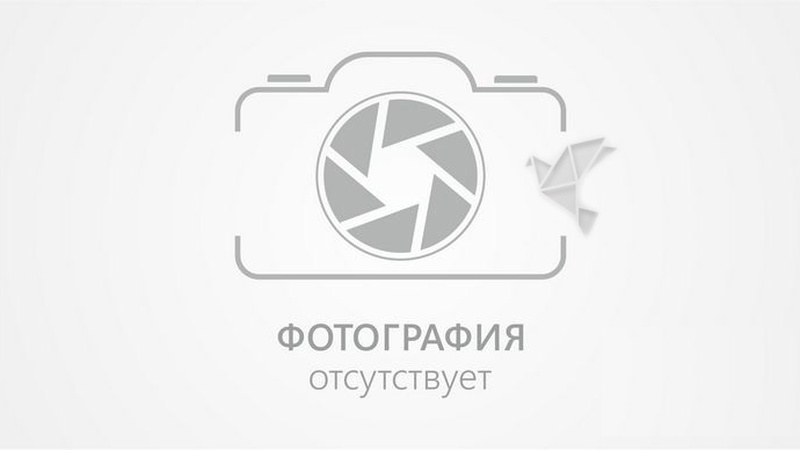 Еркебулан Токтар нокаутировал соперника из Узбекистана за два раунда