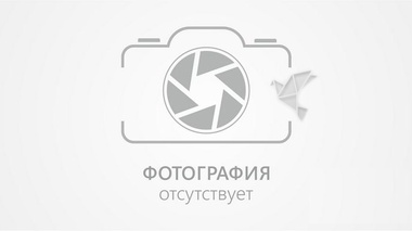 Еркебулан Токтар нокаутировал соперника из Узбекистана за два раунда
