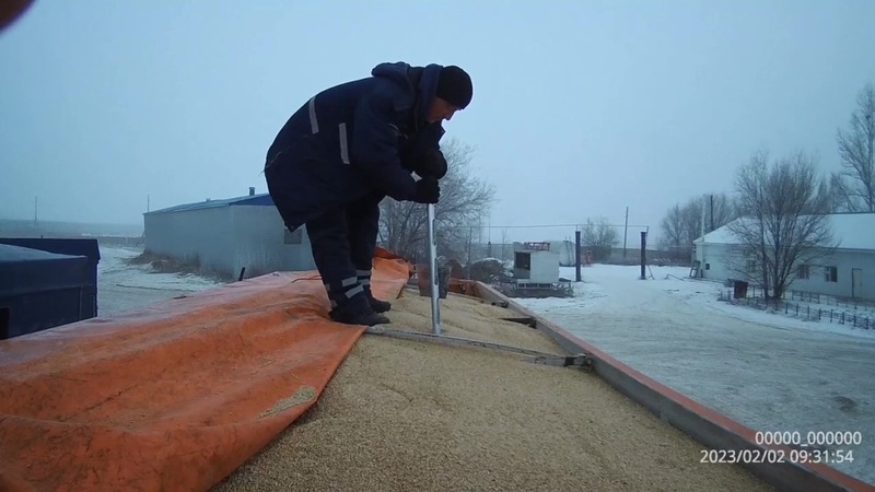 Шетелдік астықты қазақстандық өнім ретінде өткізген: миллиард теңгенің схемасы әшкереленді