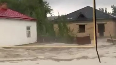 Мощный поток воды хлынул на улицы: видео из Туркестанской области